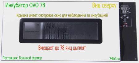 Инкубатор OVO 78 для цыплят