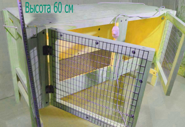 Брудер "Нежность-эконом" для перепелок