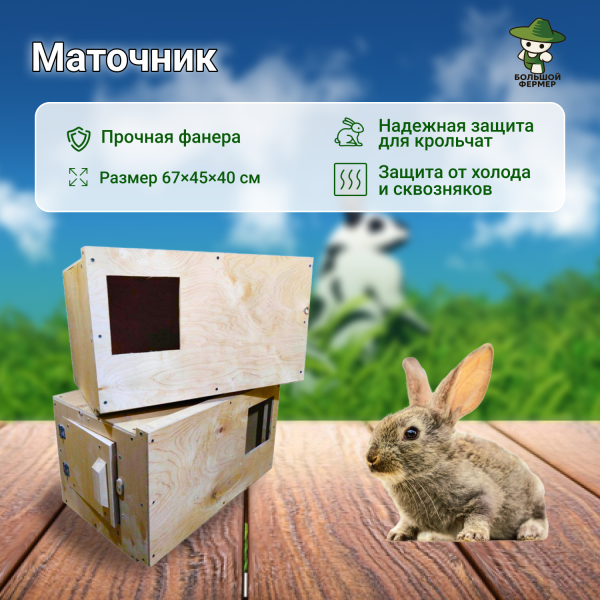 фото Клетка для кроликов "Любимая-Премиум"