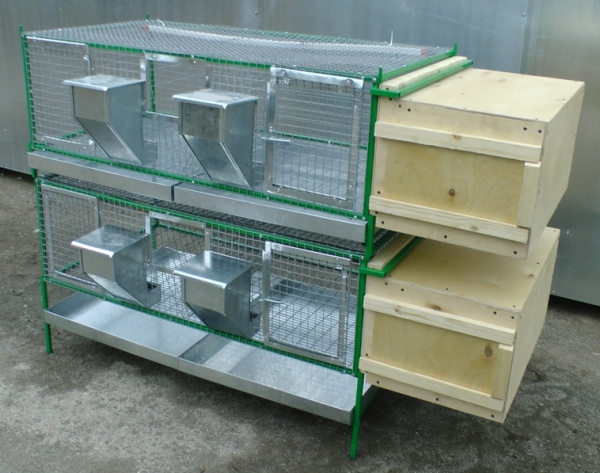 Клетка для 12 кроликов "Любимая-Премиум" Клетка для 12 кроликов "Любимая-Премиум"