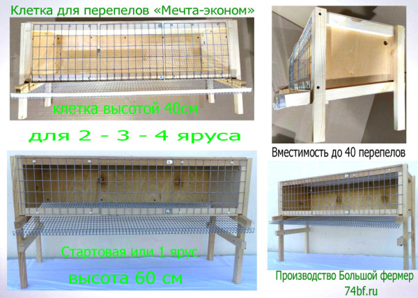 Клетка "Мечта-эконом" для перепелов