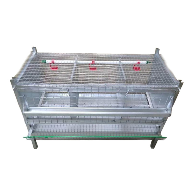 Клетка "Сестра итальянки" для несушек