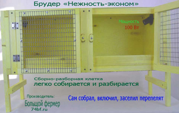 Брудер "Нежность-эконом" для перепелят