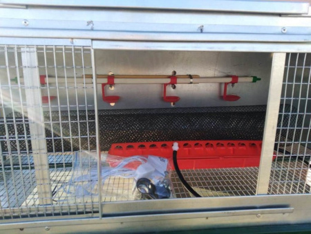 Брудер "Любимый-премиум" для цыплят