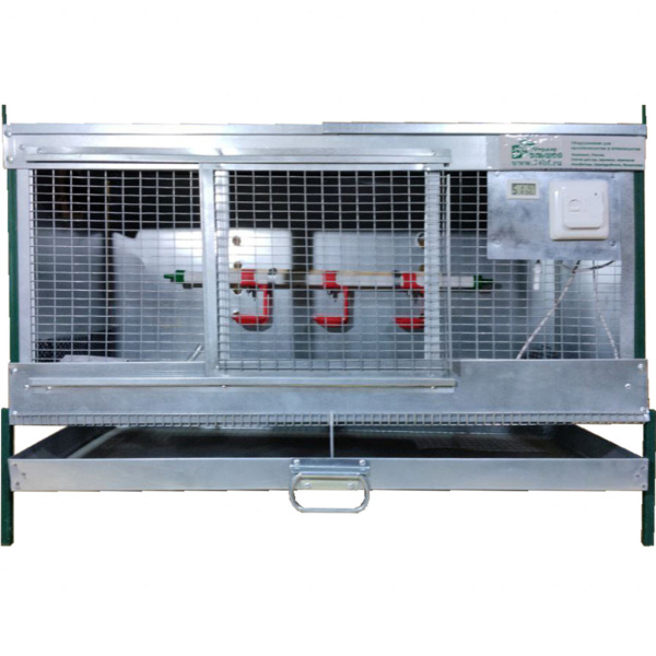 Брудер для цыплят "Надежный-профи"