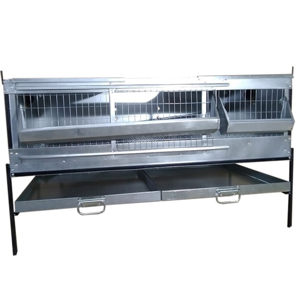 Брудер Б/Я-Любимый-люкс