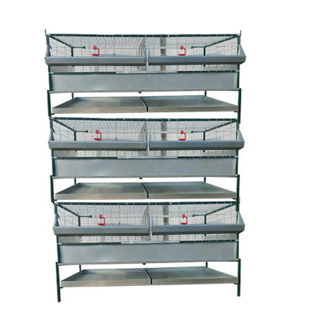 Клетка для бройлеров Любимая-профи