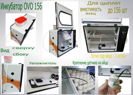 Инкубатор OVO 156 для цыплят