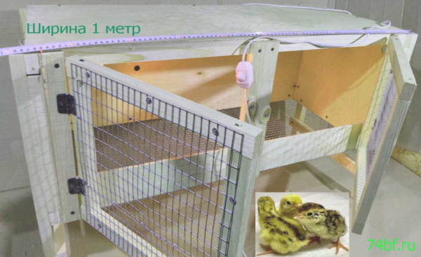 Брудер "Нежность-эконом" для перепелов