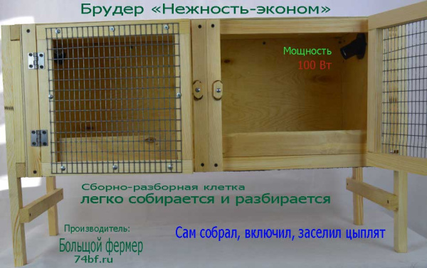 Брудер клетка "Нежность-эконом" для перепелов