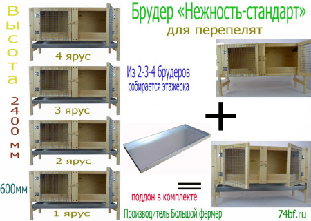 Брудер "Нежность-стандарт" для перепелят