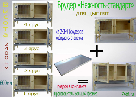 Брудер Нежность-стандарт