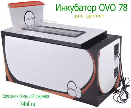 Инкубатор OVO 78 для цыплят