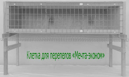 Клетка "Мечта-эконом" для перепелов