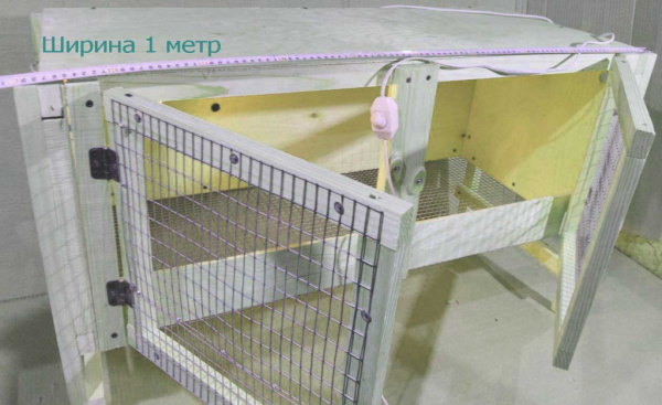 Брудер "Нежность-эконом" для перепелок