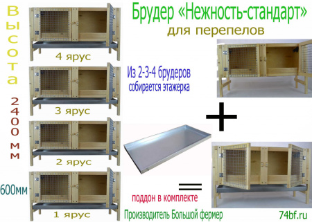 Брудер "Нежность-стандарт" для перепелов