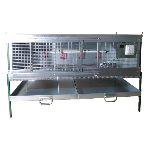 Брудер "Любимый-профи" для перепелок