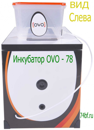Инкубатор OVO 78 для цыплят
