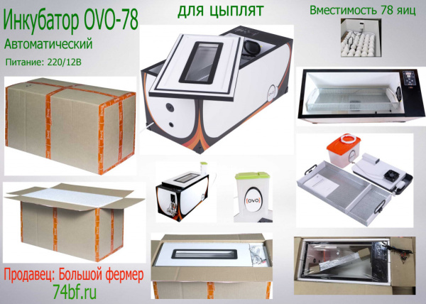 фото Инкубатор OVO 78 с перегородками