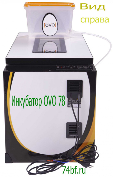 фото Инкубатор OVO 78 с перегородками