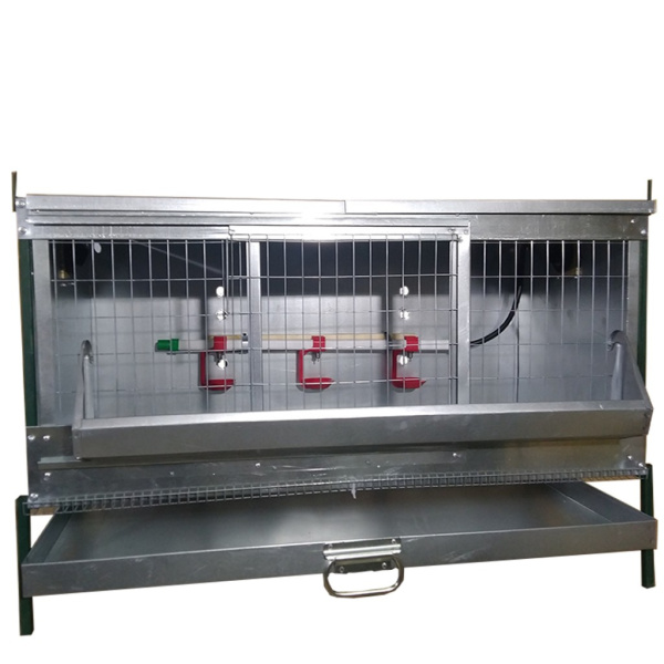 "Премиум-проф.трубы2" Брудер для кур Б.Ячейка№3