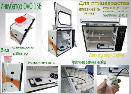 Инкубатор OVO 156