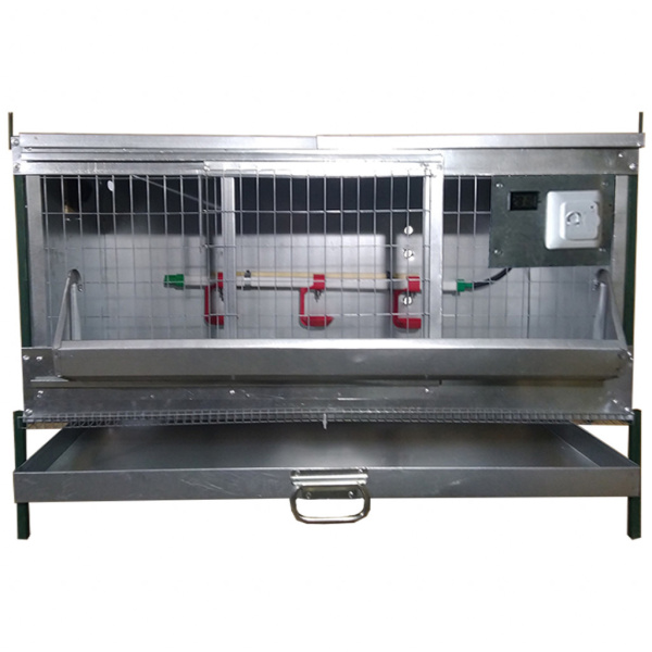 "Профи-проф.трубы2" Брудер для кур Б.Ячейка-М4