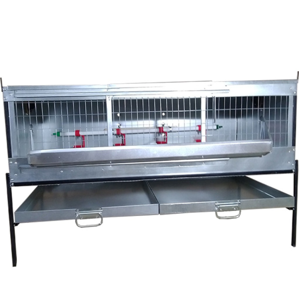 Брудер "Б/Я-Любимый-премиум" для цыплят