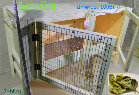 Брудер "Нежность-эконом" для перепелов