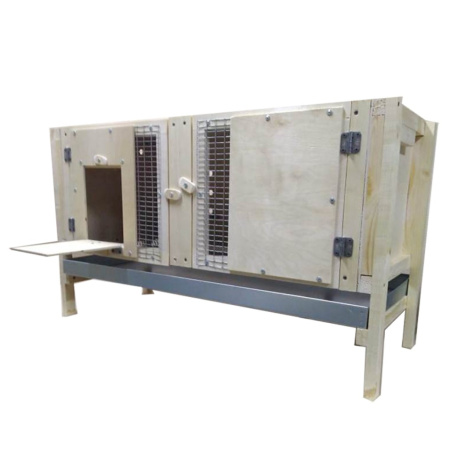 Гнездо голубя