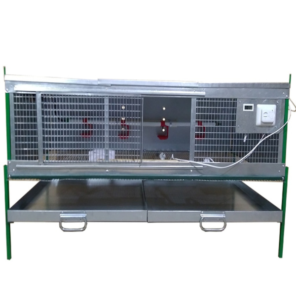 Брудер "Любимый-профи" для несушек