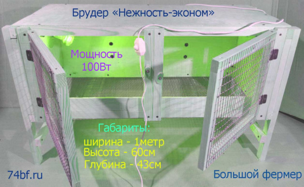 Брудер клетка "Нежность-эконом" для перепелов