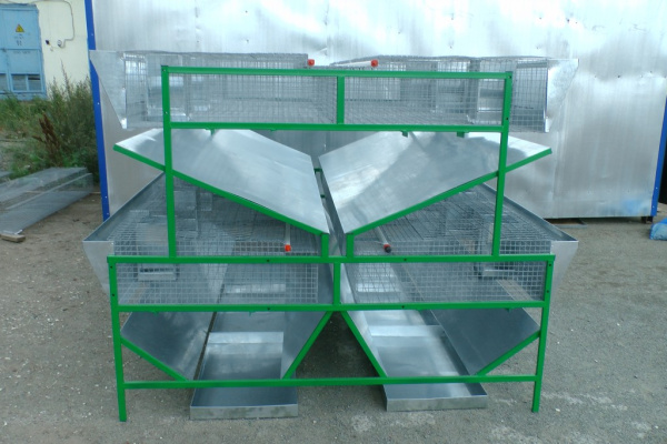 Клетка для кролиководства КО-2Ф Клетка для кролиководства КО-2Ф