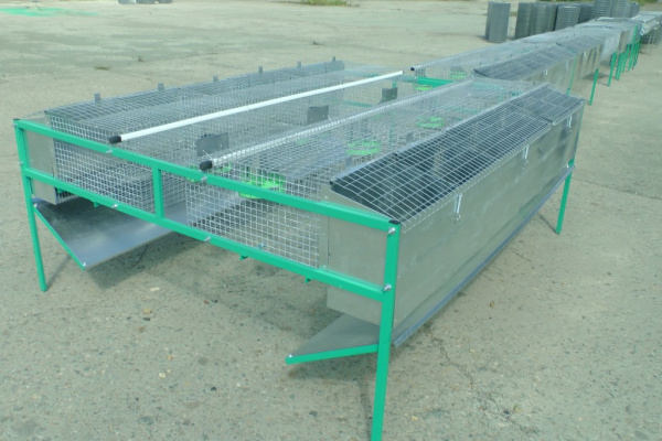 Клетка "КМ1-кроль-стандарт" для кролиководства Клетка "КМ1-кроль-стандарт" для кролиководства