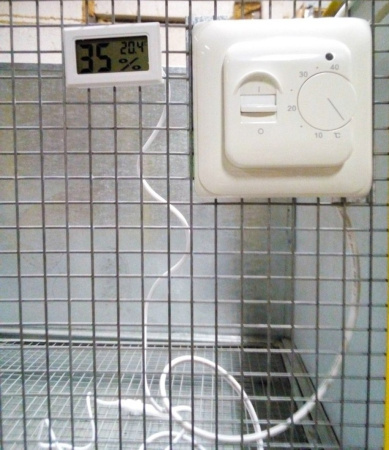 Брудер "Специальный-профи" для перепелов