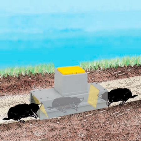 Ловушка для кротов и слепца