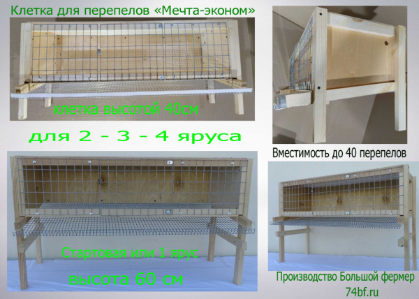 фото клетка "Мечта-Эконом 1" для перепелов