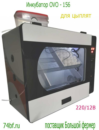 Инкубатор OVO 156 для цыплят