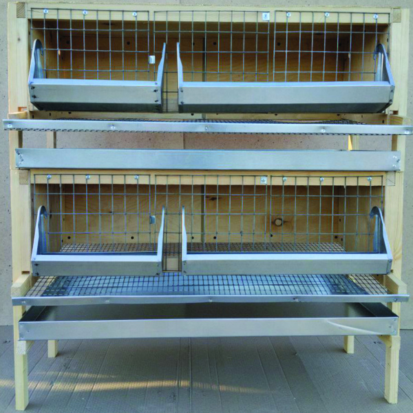 фото клетка для перепелов "Мечта-Премиум 2-4"