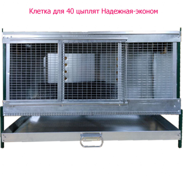 Клетка для цыплят "Надежная-эконом"