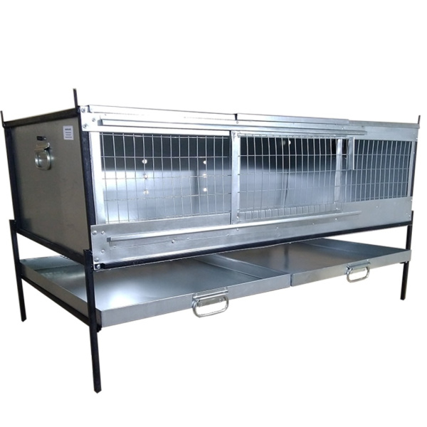 Брудер "Б/Я-Любимый-стандарт" для цыплят