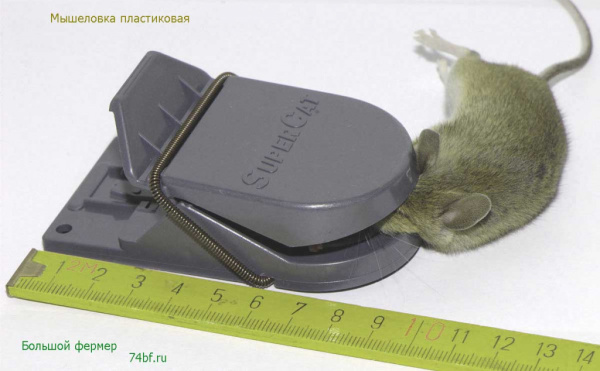 Мышеловка пластиковая (малая)