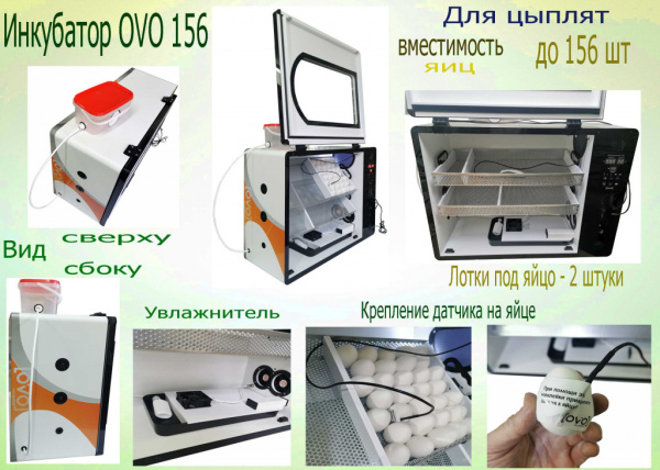 Инкубатор OVO 156 для инкубации яйца