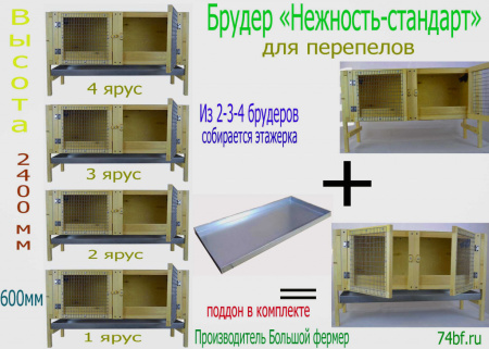 Брудер клетка "Нежность-стандарт" для перепелов