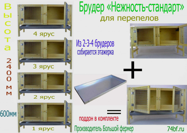 Брудер клетка "Нежность-стандарт" для перепелов