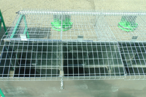 Клетка "КМ6С-кроль-стандарт" для кролиководства Клетка "КМ6С-кроль-стандарт" для кролиководства