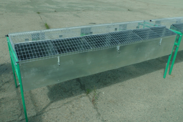 Клетка "КМ6С-кроль-стандарт" для кролиководства Клетка "КМ6С-кроль-стандарт" для кролиководства