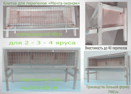 Клетка "Мечта-эконом" для перепелки