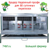 Брудер для перепелок "Надежный-профи"