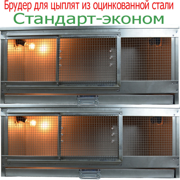 Брудер "Стандарт-эконом"